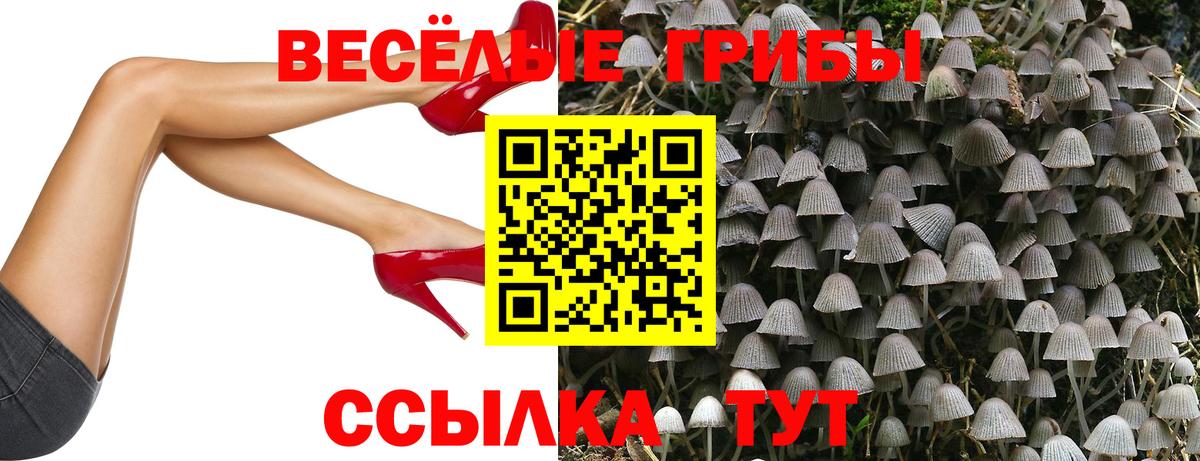 Галлюциногенные грибы прущие грибы Усинск